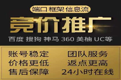 搜索引擎营销（SEM）专员的挑战与机遇